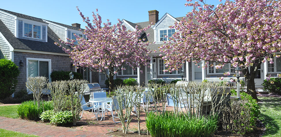 Brant Point Courtyard in Spring